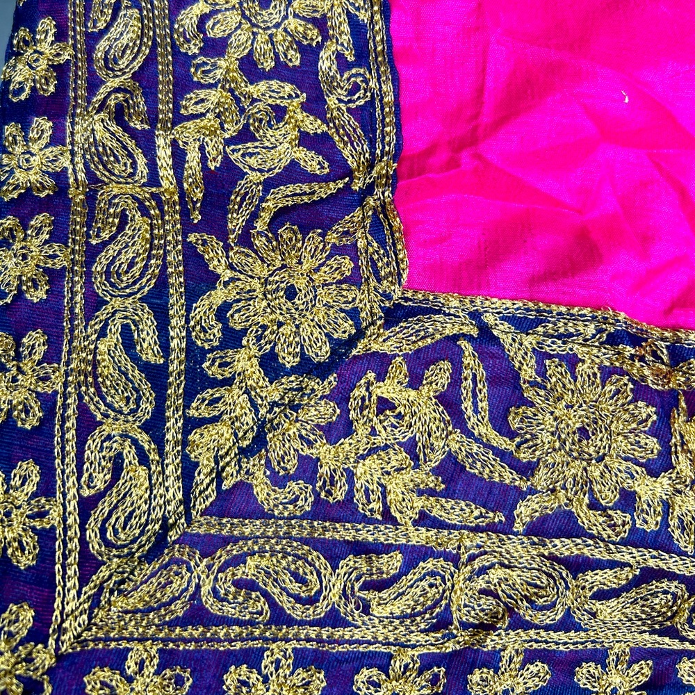Hot Pink Bollywood Saree with Blue border and unstitched blouse- New